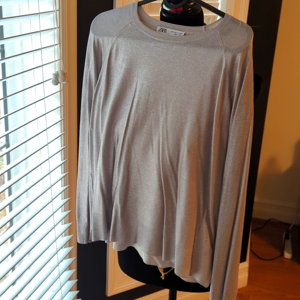 Zara NWOT shimmery silver top